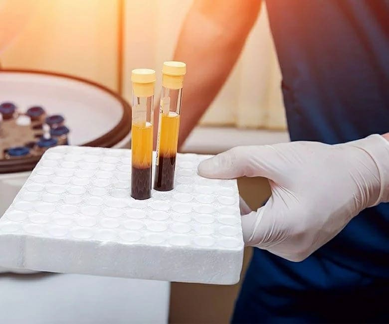 imageedit_10_6319065918_1 Image